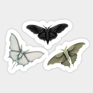 Gothic Moth Pack Sticker